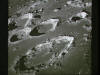 Our Moon's Surface