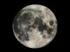 Our Moon